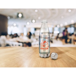 ANCER. Bouteille de sport 700mL en AS et acier inox