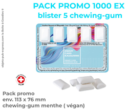 PACK PROMO 1000 EX  CARTE CHEWING-GUM CARTE A PUCE QUADRI