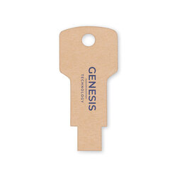 CLE USB EXTRA PLATE EN CARTON